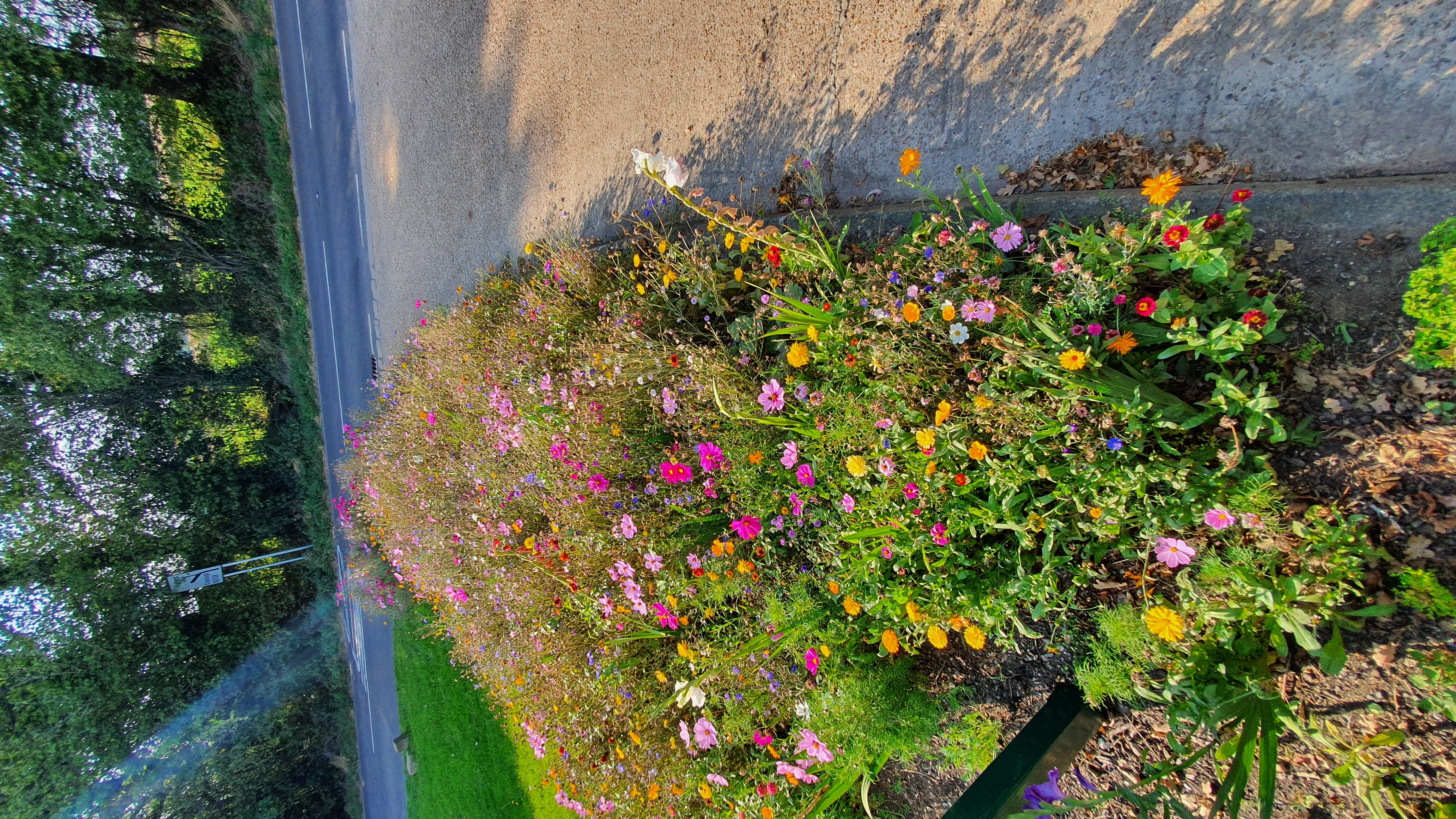 Countryside and ecology management — Grasstex
