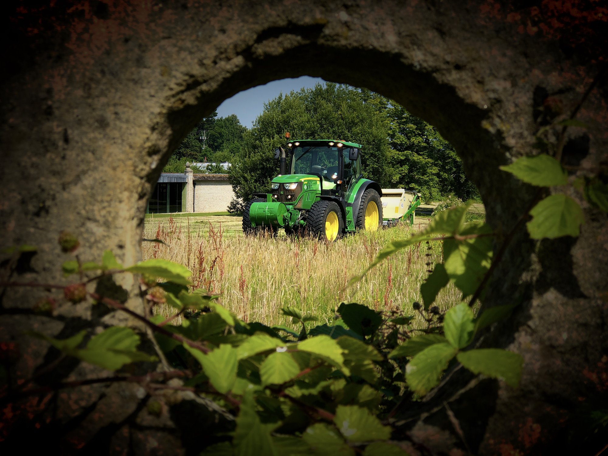 Countryside verge management — Grasstex